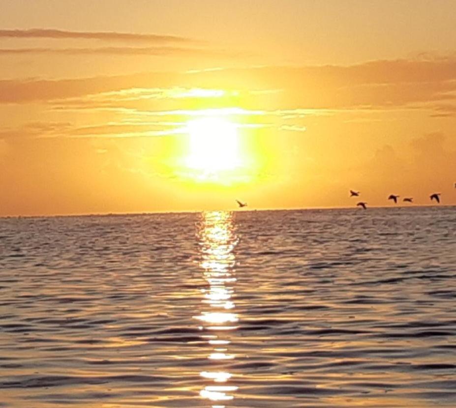 Willa Waddenfestijn Paesens Zewnętrze zdjęcie